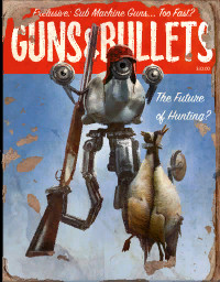 GunsAndBullets10.jpg